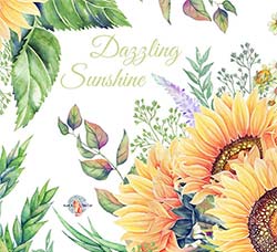 45张高清透明的北欧风向日葵/甘菊PNG图片：Dazzling Sunshine Watercolor Clipart